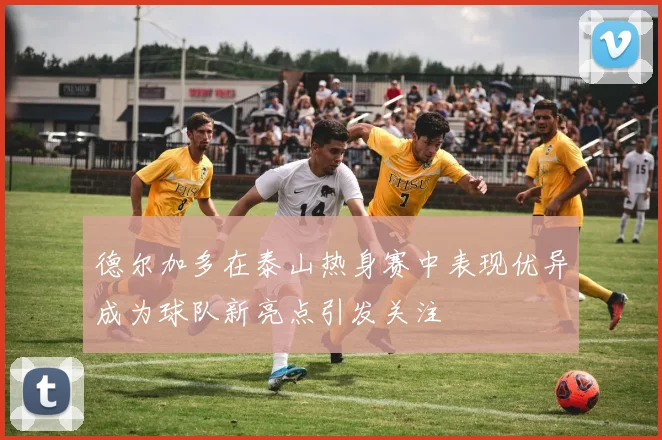 德尔加多在泰山热身赛中表现优异成为球队新亮点引发关注