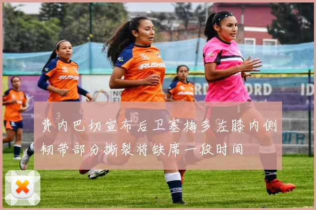 费内巴切宣布后卫塞梅多左膝内侧韧带部分撕裂将缺席一段时间